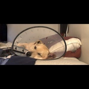 Meet your Posher, Erika